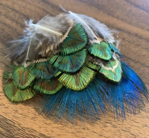 12pcs Mix Natural Rare 4-6cm Peacock Plumage Feathers DIY Craft Jewellery - Picture 1 of 5