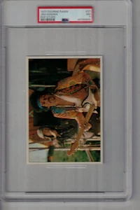#27 Jimi Hendrix 1975 Panini Figur Popstars PSA 7 - Bild 1 von 2