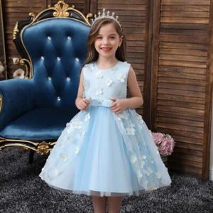 Toddler Embroidery Flower Girl Dress Wedding Birthday Party Performance Clothes - Picture 1 of 15