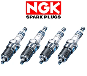 4 Original NGK BCPR Candles for Fiat Seventeenth Panda Point 1.1 1.2 Fire - Picture 1 of 5