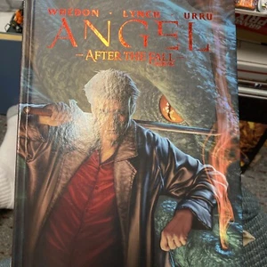 Angel 1 : After the Fall, by Lynch, Brian; Urru, Franco (ILT) USED HC BOOK - Imagen 1 de 13