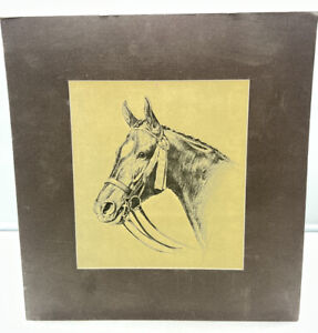 Rich Rudish Original Art Drawing Horse Head 14”x15” Signed #2