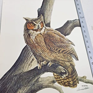 WD Gaither Owl Wildlife Print 16x20 Firmado Edición Limitada Número 58 de 1000 De Colección - Imagen 1 de 8