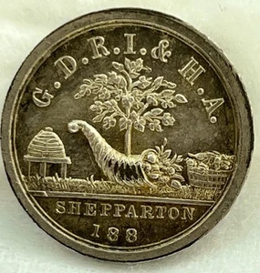 1897 G.D.R.I. & H.A. Shepparton 188 Prize Silver Medalet, Centenary of Newcastle - Picture 1 of 7