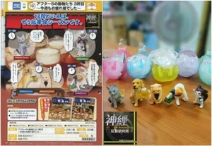 Takara Tomy Cápsula Juguete Relajante Animal Después de 5 PM Parte 3 Set 5 PIEZAS Gashapon - Imagen 1 de 1