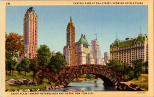 Cartolina Central Park Savoy Sherry Paesi Bassi Pierre New York City lino A3 - Foto 1 di 2