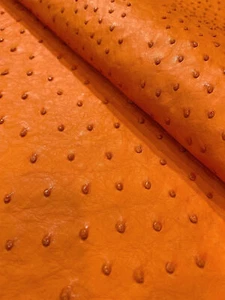 Piel de avestruz cuero mandarina color CF - Imagen 1 de 5