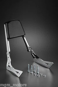 Schienale Honda VT 750 SHADOW BLACK WIDOW Spirit sissy bar RC48 - Picture 1 of 1