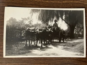 Oxen Pulling Cart, Wagon, Local Working, Jamaica, BWI Real Photo Postcard ~ RPPC - Picture 1 of 2