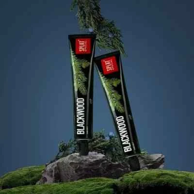 SPLAT Blackwood Powerful Charcoal Whitening Toothpaste 75g x 2 FREE SHIPPING - Image 1 of 4