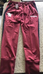 Pantalones de fútbol de entrenamiento Torino FC Joma 22/23 EU XL US grandes nuevos con etiquetas Italia - Imagen 1 de 5