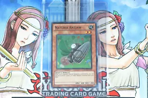 Yugioh Naturia Antjaw HA02-DE039 Unbegrenzte Auflage Super Rare - Bild 1 von 2