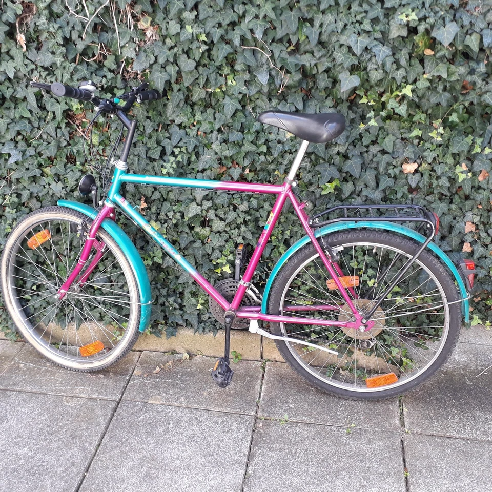 26" Herren Tourenrad "California" 7 Gang Schaltung bunt - Bild 1 von 1