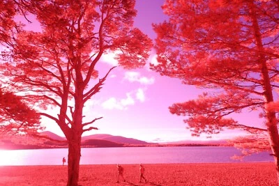 Aerochrome / IR-Chrome  72mm Infrared  filter **SEE VIDEO ** UK Seller - Image 1 of 4