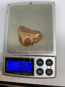 crowley ridge rock agate pattern fortified polished .60 Oz 1 1/2 X1 X.4 Rare Red - Picture 1 of 4