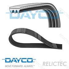 Multi V-Ribbed Belt Ford Fiat:MONDEO III 3,ESCORT IV 4,MAVERICK,FIORINO,V 5