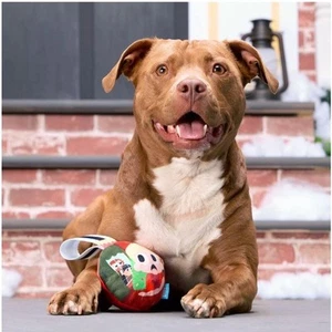 BARK Home Alone Kevin Chrismutts Ornament Tug Ball Dog Toy Plush Squeak Crinkle - Picture 1 of 5