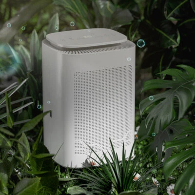 Electric Dehumidifier Desktop Anion Air Purifier Damp Moisture Absorber & Remote - Image 1 of 4