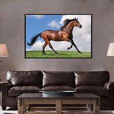 Poster Horse Animal Painting Wall Art Prints Decor Thin Canvas 24x36 inch H07