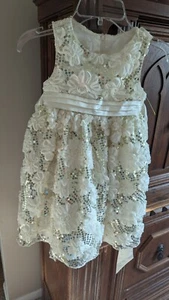 NWOT Girl's AMERICAN PRINCESS Roses Silver Sequins Dress Size 4T Beautiful - Picture 1 of 1