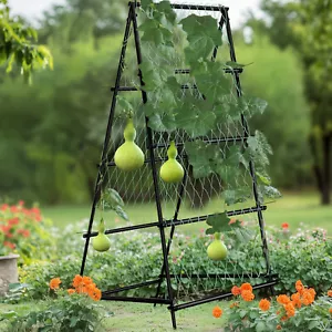Iron Triangle Garden Trellis for Lawn Garden Backyard Climbing Plants Green Bean - Picture 1 of 14