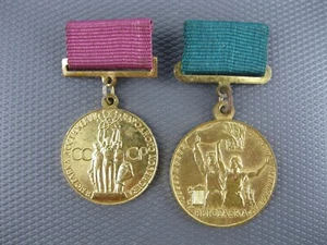 Insignia medalla VSHV VDNH Exposición Logros Economía Nacional Unión Soviética URSS - Imagen 1 de 12