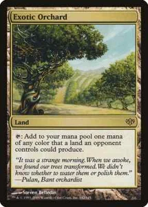 MTG Magic the Gathering - Exotic orchard - Conflux FOIL LP/NM - Picture 1 of 1