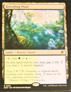 Magic the Gathering #251 Breeding Pool - Picture 1 of 1