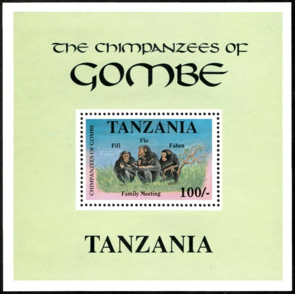 Tanzania 1992 - Chimpancés del Parque Gombe, Familia - Hoja de recuerdo - 877 - MNH Foto 1 de 1