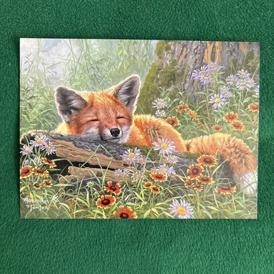 LIQUIDATING-Leanin’ Tree Get Well Greeting Card “Hope You’re Feeling…” - Image 1 of 3