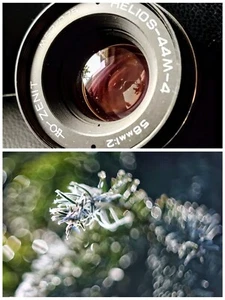 helios 44m-4 ; 58!!mm f2.0 bohke king - Bild 1 von 19