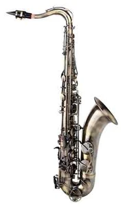 Tenor Saxophon Sax Saxofon Leicht Case Koffer Mundstück Blättchen Antique Yellow - Bild 1 von 6