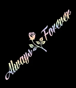 Pegatinas Coche Always And Forever JDM Parabrisas Banner Motivación 24cm X 90cm - Imagen 1 de 1
