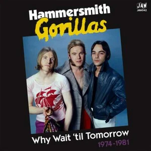 HAMMERSMITH GORILLAS Why Wait 'Til Tomorrow 2x LP JESSE HECTOR CRUSHED BUTLER - Picture 1 of 2