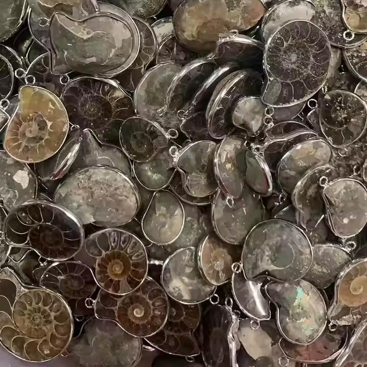 Unstrung Ammonite Fossil Pendants for jewelry making - Image 1 of 1