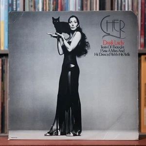 Cher - Dark Lady - 1974 MCA Records, VG/VG - Picture 1 of 2