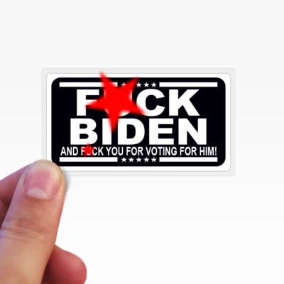 STICKERX FJB Joe Biden & You For Voting for Him Funny Joe Joke Gag 25-250 Stickers Decals