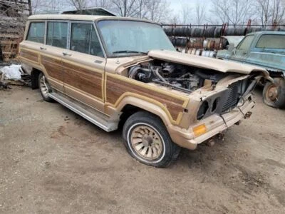 Jeep Wagoneer 1990 pasajero puerta delantera derecha bisagra inferior se adapta a vagón 80-90   Foto 1 de 4