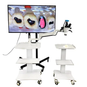 Dental 10X Operating ENT Stereo Binocular Microscope with Camera and Mobile Cart - Picture 1 of 12