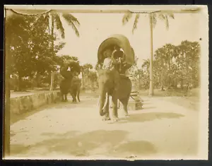 Indochine COCHINCHINE Saigon, Omnibus cambodgien, Citrate print 1901 - 9x12 cm - Foto 1 di 1