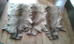 Roebuck Roe Deer Skin Pelt Fur Hide Area Rug Carpet Chair Seat Pad Warm Cushion - Picture 1 of 10