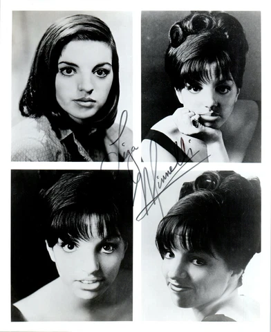 Liza Minnelli Actress Singer Cabaret Fan Club Autograph Signed Photograph Photo Cover