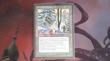1X Timberline Ridge Ice Age NM/EX MISPRINT MTG CARD