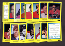 1992 Sport-Flash Set (15)