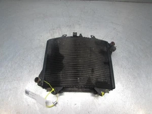 Kawasaki ZZR1100 C Motorcycle Radiator Assembly - Picture 1 of 6