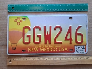 Nummernschild New Mexico, 2005 Herbst Heißluftballon Festival, Passagier, GGW 246 - Bild 1 von 2