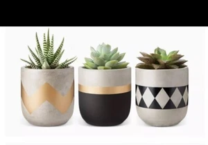 Mkono Cement Succulent Planter Set of 3 Concrete Plant Pots Modern Flower Pots - Picture 1 of 12