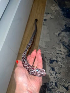 HAND CRFT WOODEN SNAKE WALKING STICK- 91 cm - Picture 1 of 15