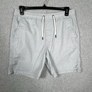 Hollister Shorts Mens Large Blue White Striped Chino Beach Prep Jogger Epic Flex - Picture 1 of 7