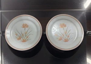 Set di 2 piatti vintage Corelle Peach floreali 10 1/4" USA Corning 🍑 - Foto 1 di 9